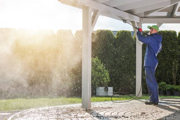 Best Animal Enclosure Cleaning  in Algona, IA
