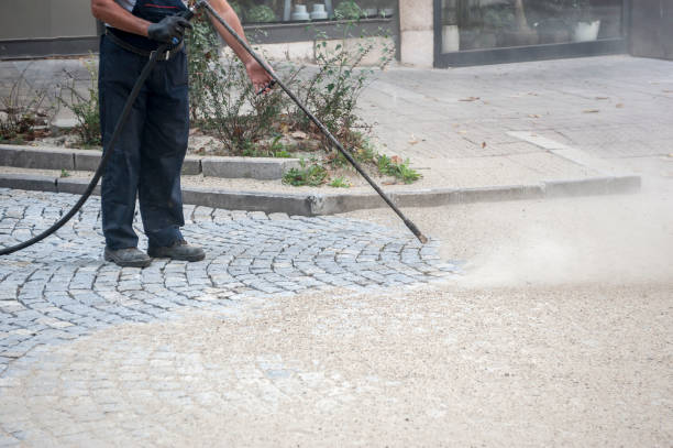 Best Sidewalk and Walkway Cleaning  in Algona, IA